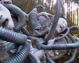 艺术纪录片《暗黑派舞踏 Dance of Darkness (Butoh)》下载-零三纪录片资源网