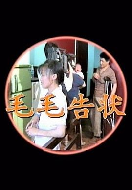 毛毛告状的海报