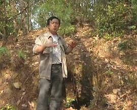 被遗忘的战场-滇缅公路的海报