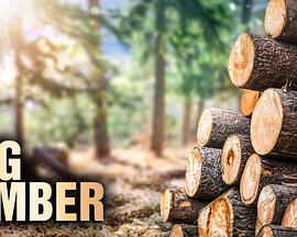 真人秀&舞台纪录片《终极伐木达人 第一季 Big Timber Season 1》下载-零三纪录片资源网