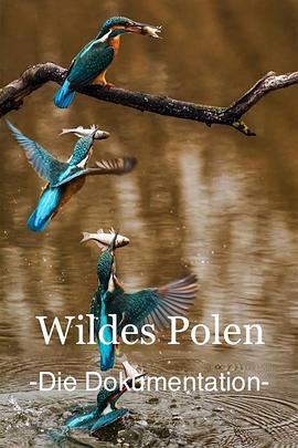 自然纪录片《野性波兰 Wildes Polen》下载-零三纪录片资源网