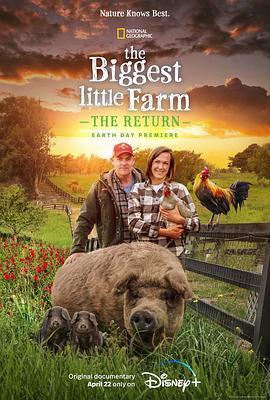 社会生活纪录片《最大的小小农场：回归 The Biggest Little Farm: The Return》下载-零三纪录片资源网