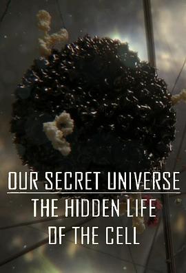 健康&医学纪录片《人体奥妙之细胞的暗战 Our Secret Universe: The Hidden Life of the Cell》下载-零三纪录片资源网