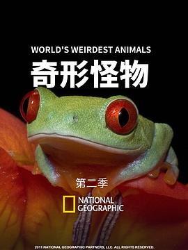 奇形怪物 World's Weirdest的海报