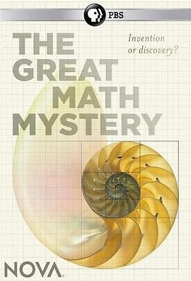运动纪录片《新星：数学大谜思 Nova:The Great Math Mystery》下载-零三纪录片资源网