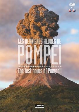 探索纪录片《重返庞贝古城 Les dernières heures de Pompéi》下载-零三纪录片资源网