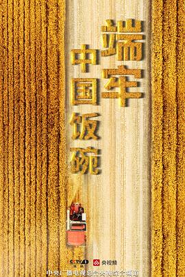 工艺技术纪录片《端牢中国饭碗》下载-零三纪录片资源网