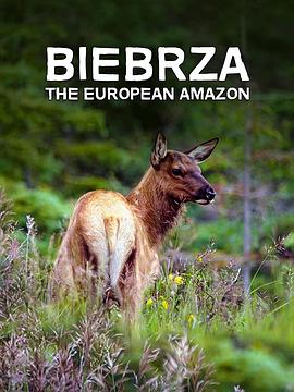 自然纪录片《别布扎河：欧洲的亚马孙 Biebrza: The European Amazon》下载-零三纪录片资源网