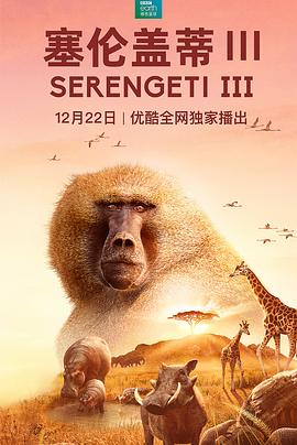 塞伦盖蒂 第三季 Serengeti Season 3的海报