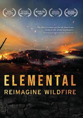 事件纪录片《美国大火 Elemental: Reimagine Wildfire》下载-零三纪录片资源网