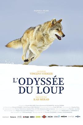 自然纪录片《狼之旅 L’Odyssée du Loup》下载-零三纪录片资源网