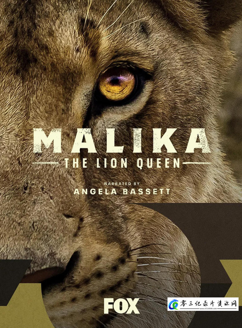 自然纪录片《狮子女王 The Lion Queen》下载-零三纪录片资源网