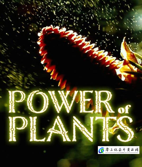植物的力量 Power of Plants的海报