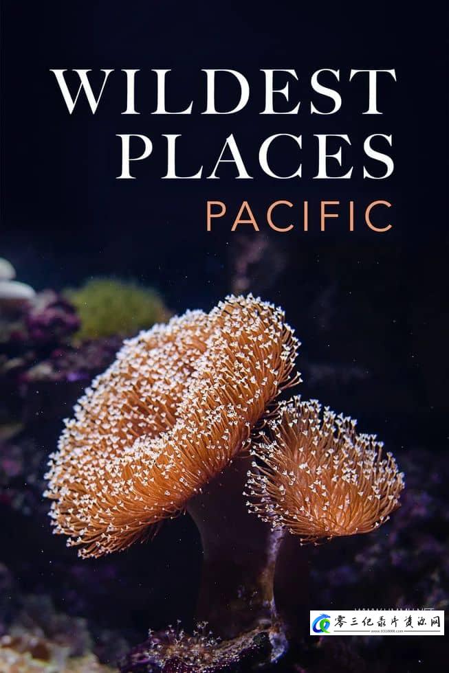 自然纪录片《荒蛮之地：太平洋 第二季 Wildest Places: Pacific》下载-零三纪录片资源网