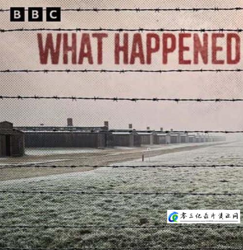 历史纪录片《奥斯威辛集中营发生了什么 What Happened at Auschwitz》下载-零三纪录片资源网